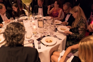 Licht ins Dunkel Gala Bild 49