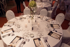 Licht ins Dunkel Gala Bild 98
