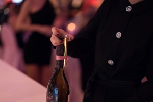 Licht ins Dunkel Gala Bild 9