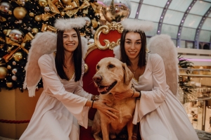 Fototag mit Santa Claus Bild 62